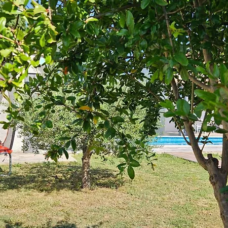 Family's Pool, Parking, Garden