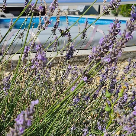 Family's Pool, Parking, Garden Villa Villemoustaussou